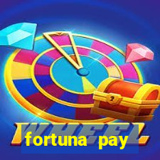 fortuna pay consultoria financeira ltda